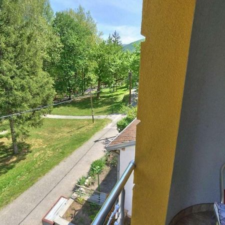 Apartments Banjica Sokobanja Extérieur photo