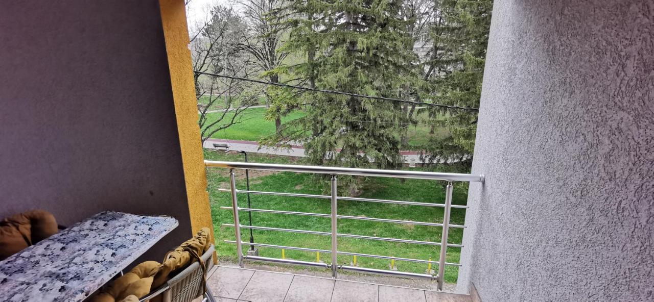 Apartments Banjica Sokobanja Extérieur photo