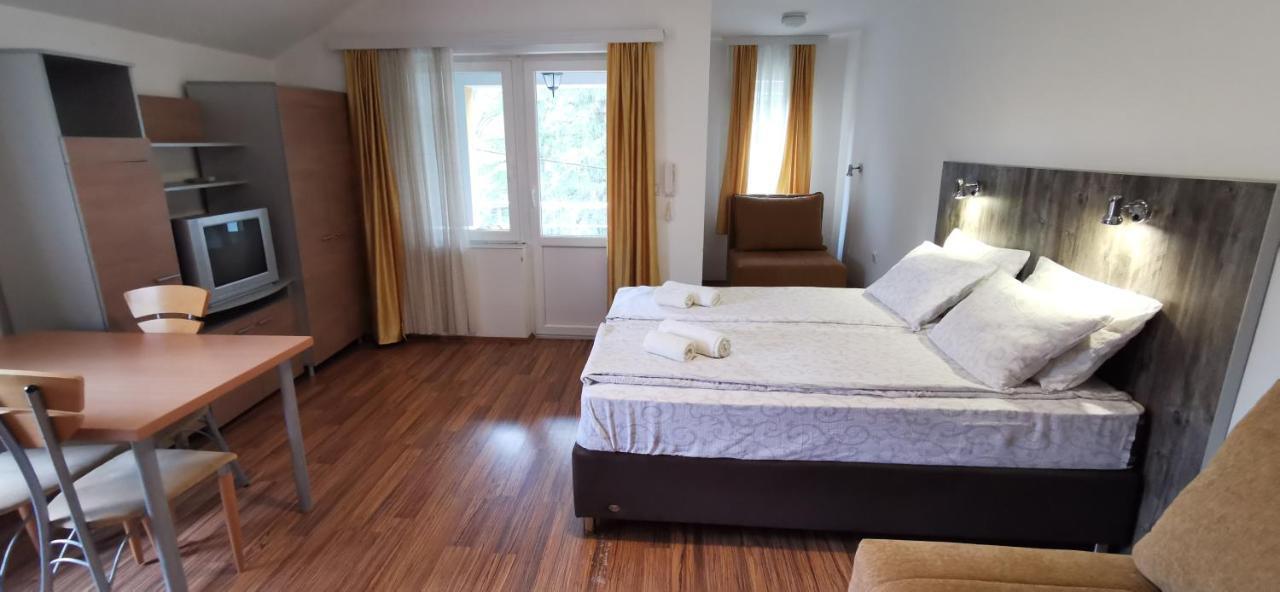Apartments Banjica Sokobanja Extérieur photo