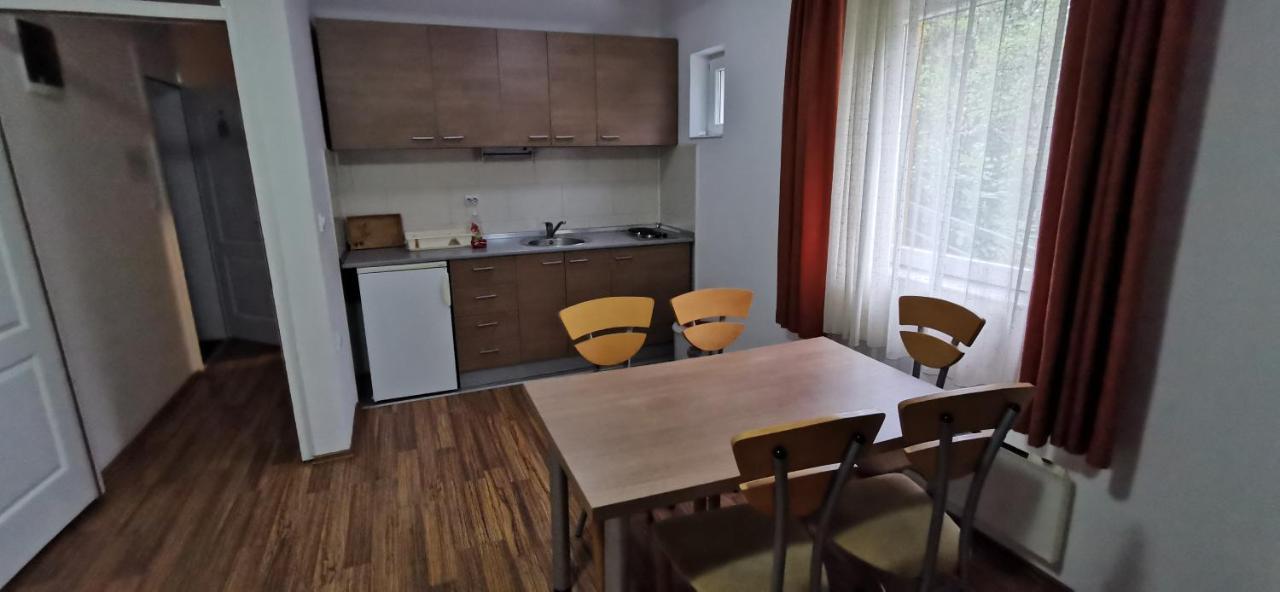 Apartments Banjica Sokobanja Extérieur photo