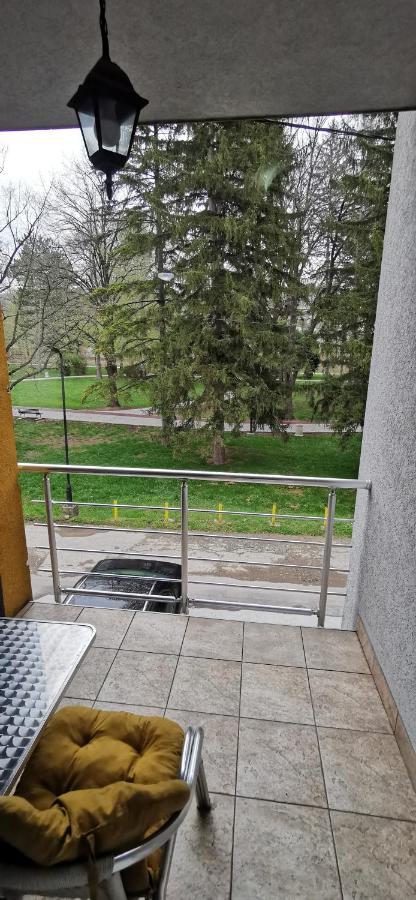 Apartments Banjica Sokobanja Extérieur photo