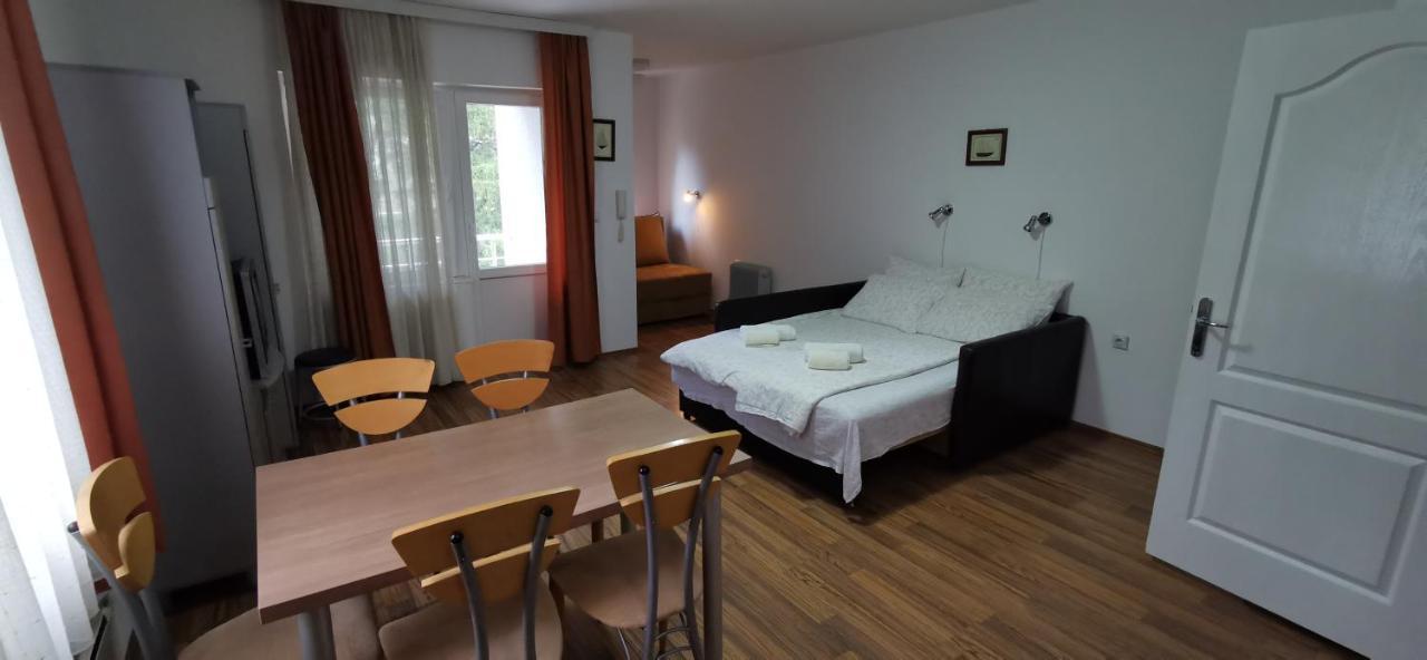 Apartments Banjica Sokobanja Extérieur photo