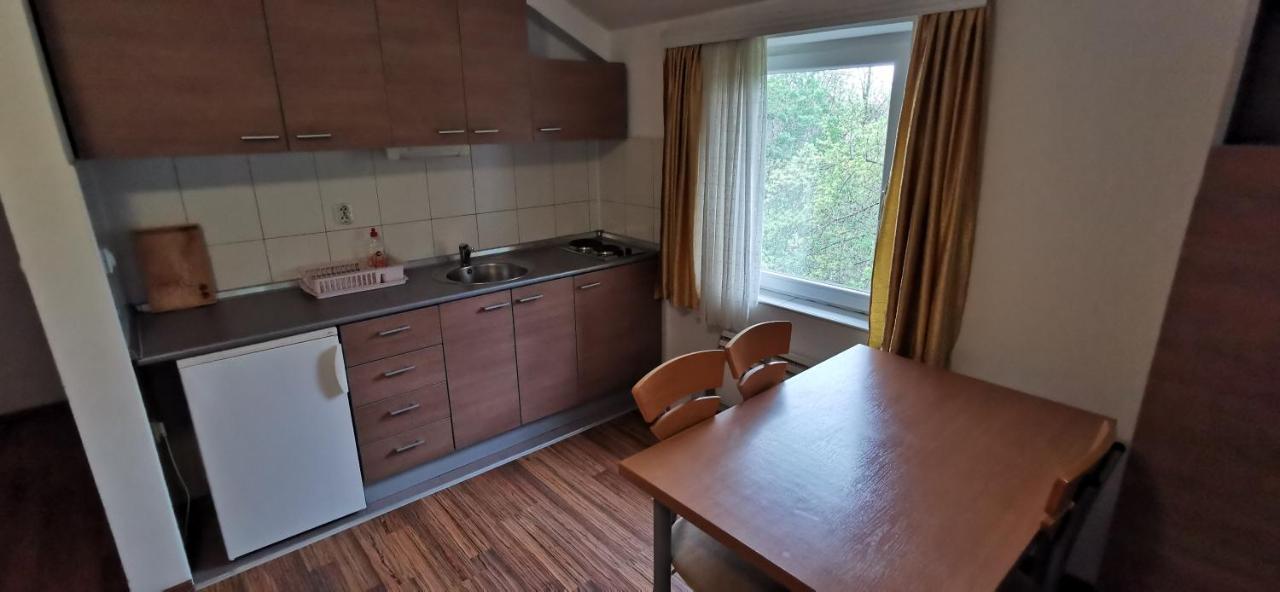 Apartments Banjica Sokobanja Extérieur photo