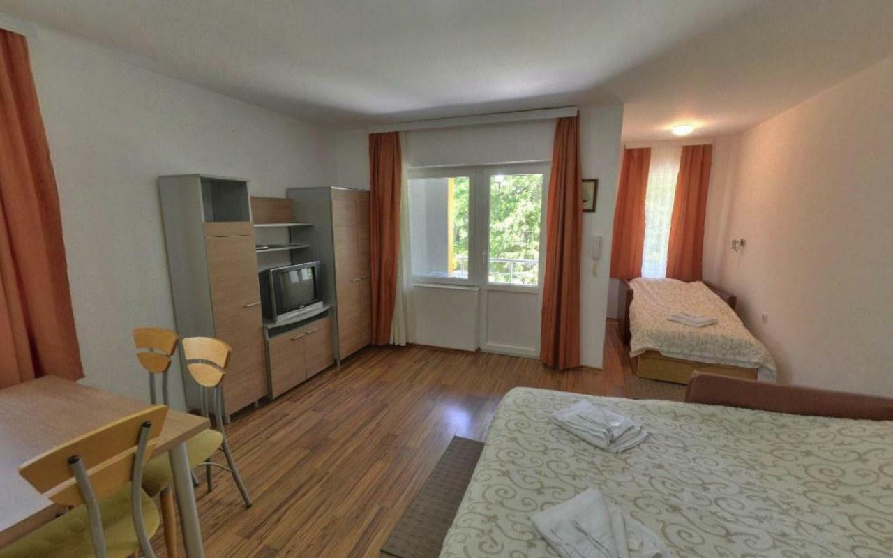 Apartments Banjica Sokobanja Extérieur photo